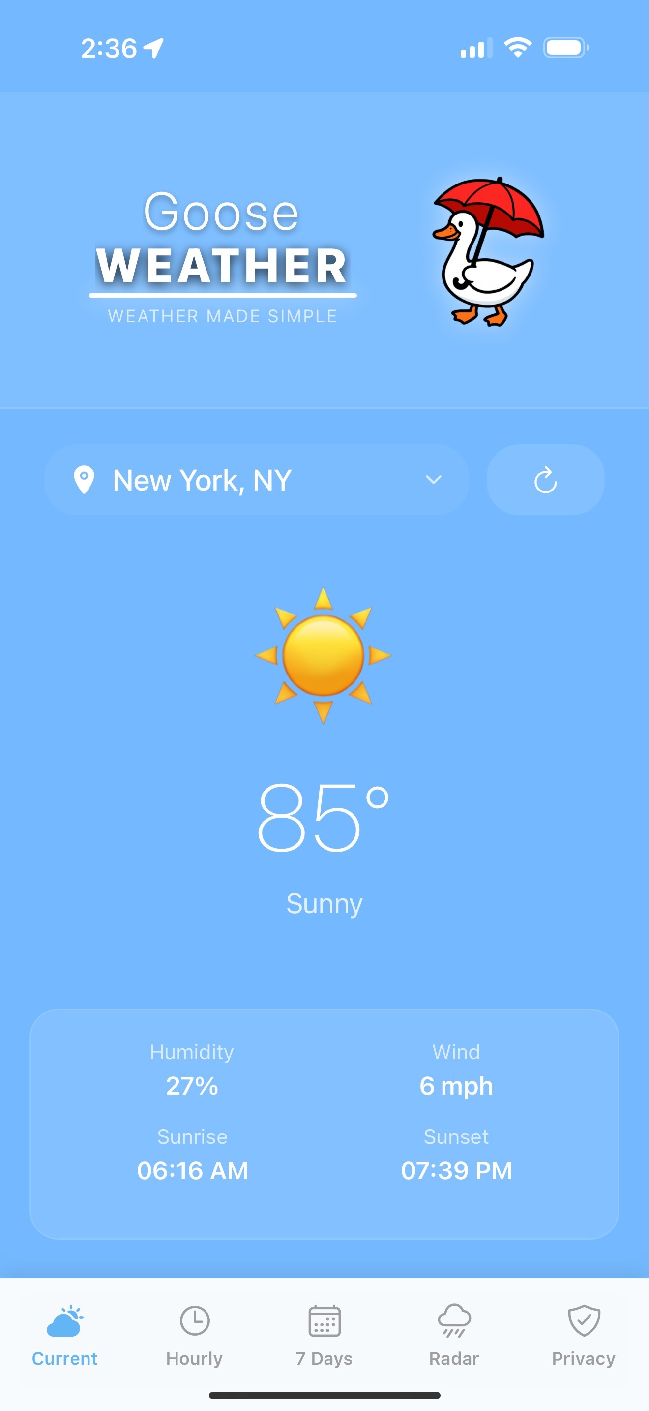 Goose Weather